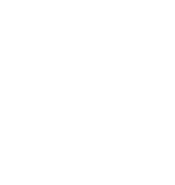 Process Icon